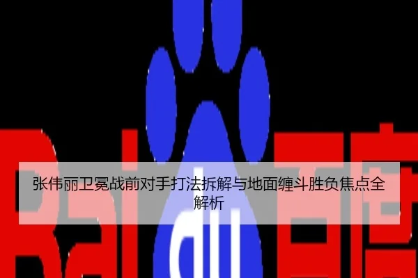 张伟丽卫冕战前对手打法拆解与地面缠斗胜负焦点全解析
